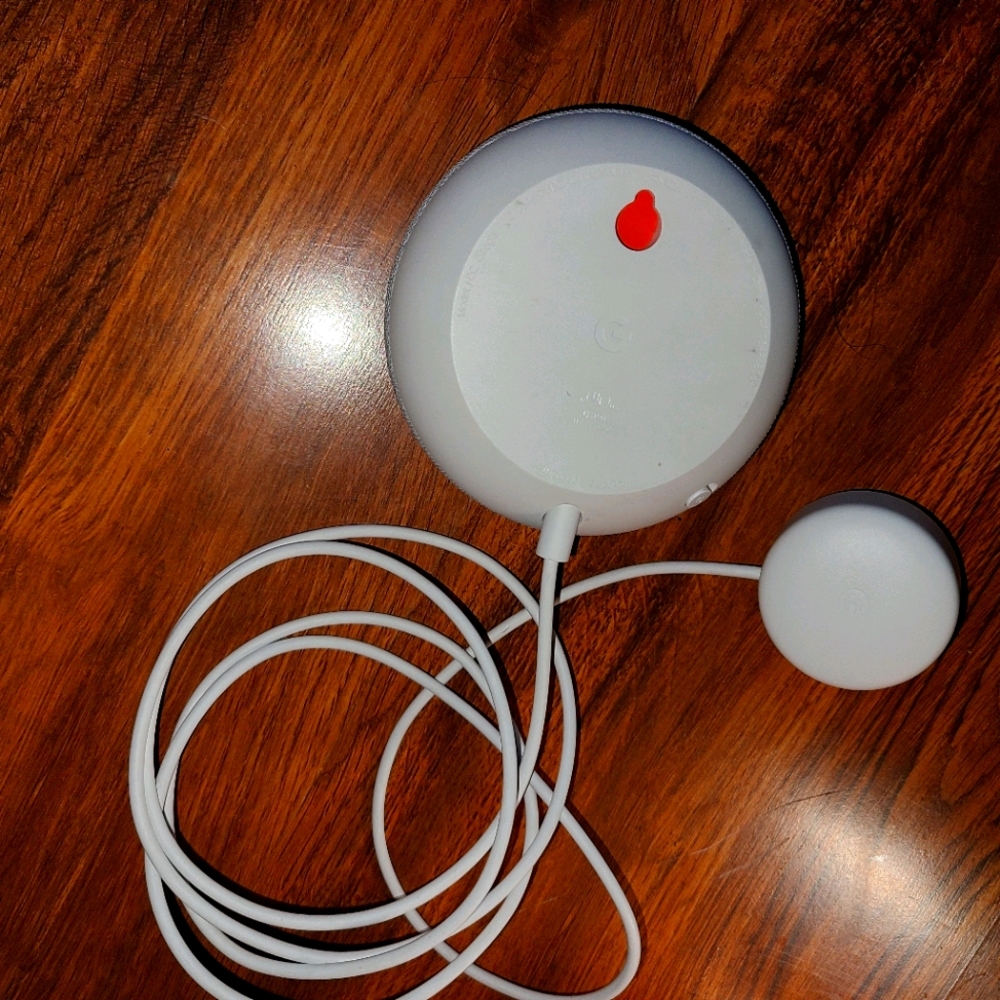 Google speaker